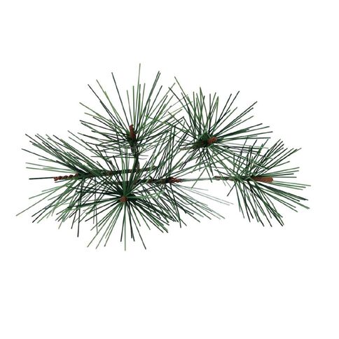 Wonderland Novelty Berry/Pine Christmas Craft Pieces Assorted