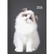 Collins 2026 Diary Week To View Cats & Dogs Multi-Coloured A5