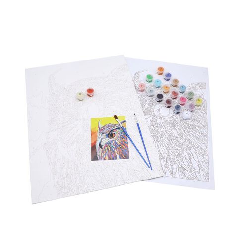 Uniti Paint By Numbers Owl