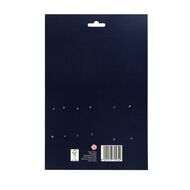Uniti Platinum Wooden Wide Angular Taklon Brush 3 Pack