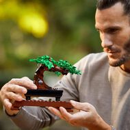 LEGO CREATOR Expert Bonsai Tree 10281