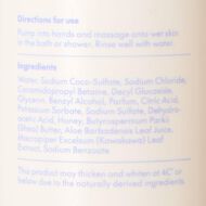 Good One Body Wash Day at the Beach 1L