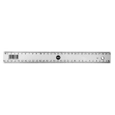 WS Plastic Ruler 30cm Clear