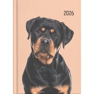 Collins 2026 Diary Week To View Cats & Dogs Multi-Coloured A5