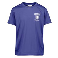 Schooltex Coromandel Area School Hauraki House Tee with Transfer