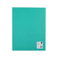 WS Colour Pop 2D Ringbinder Green