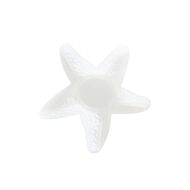 Uniti Resin Moulds Set Starfish