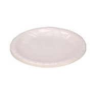 Party Inc Plate 23cm White 10 Pack