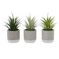 Living & Co Artificial Potted Succulents Green 3 Pack 85cm
