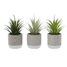 Living & Co Artificial Potted Succulents Green 3 Pack 85cm