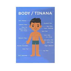 Educational Poster The Body 60cm x 90cm