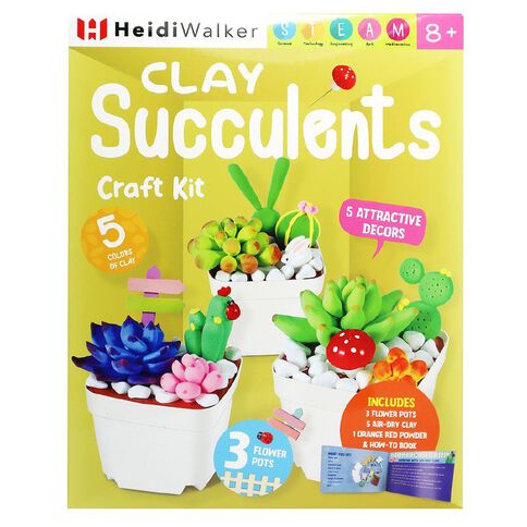 Heidi Walker Clay Succulents Kit