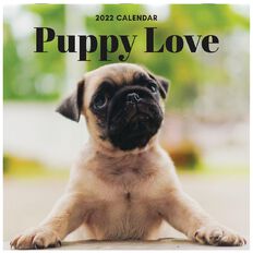Bright Ideas 2022 Calendar Puppy Love 290mm x 290mm