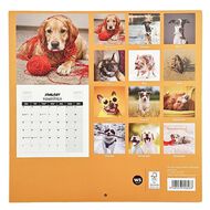 WS 2027 Calendar Quirky Dogs