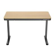 Workspace 1200mm Adjustable Desk With Wood Look Top