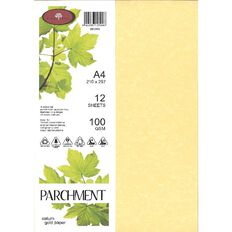 Direct Paper Parchment Paper 100gsm 12 Pack Saturn Gold A4