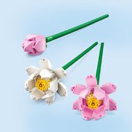 LEGO Botanicals Flowers Lotus Flowers 40647