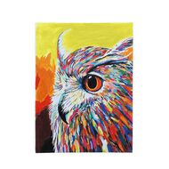 Uniti Paint By Numbers Owl