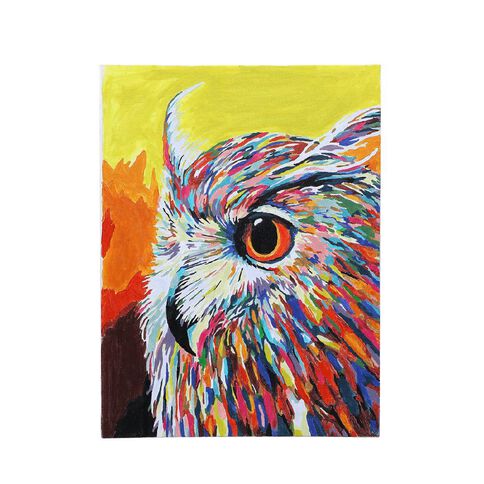 Uniti Paint By Numbers Owl