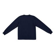 Schooltex Sumner School Tunic Sweatshirt with Badge