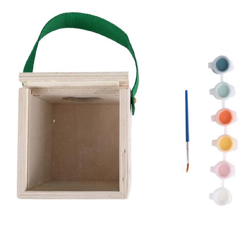 Paint Your Own Insect Observation Box