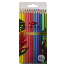 Jasart Studio Coloured Pencils Tropical 12 Pack