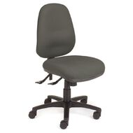 Chair Solutions Ergon Highback Chair Classic Silver Silver Grey