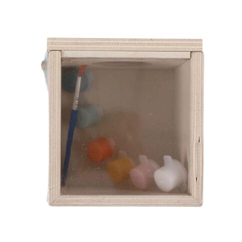 Paint Your Own Insect Observation Box