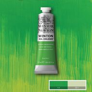 Winsor & Newton Winton Oil Phthalo Yellow Green 37ml
