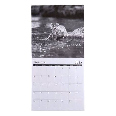 WS Calendar 2025 Baby Animals 29cm x 29cm Square