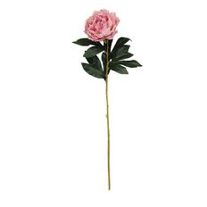 Living & Co Artificial Peony Stem 76cm