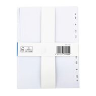 WS 5 Tab Wide White Dividers White