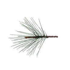 Wonderland Novelty Berry/Pine Christmas Craft Pieces Assorted