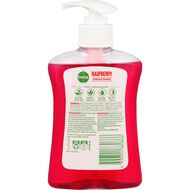 Dettol Liquid Handwash Pump Raspberry 250ml