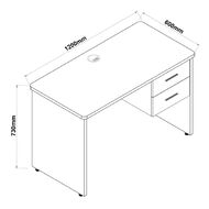 Workspace 925 Desk 1200mm