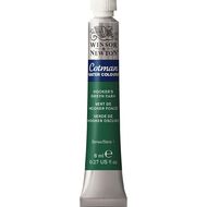 Winsor & Newton Cotman Watercolour Paint 8ml Hookers Green Dark