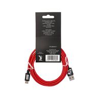 Mickey Mouse Classic USB-C Cable 2m