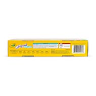 Crayola Whipped Paint Kit