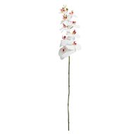 Living & Co Artificial Real Touch Orchid Stem