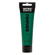 Reeves Intro Acrylic Paint Meadow 100ml