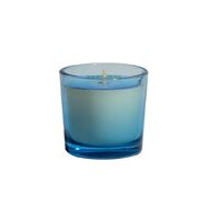 Living & Co Tropical Crush Mini Scented Candle Lime Coconut