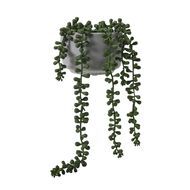 Living & Co Artificial Succulent Beaded Plant in Pot Grey One Size