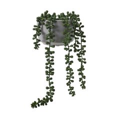 Living & Co Artificial Succulent Beaded Plant in Pot Grey One Size