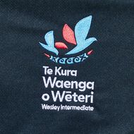 Schooltex Wesley Intermediate Short Sleeve Polo with Embroidery