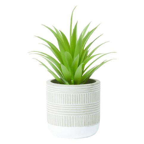 Living & Co Artificial Potted Succulents Green 3 Pack 85cm