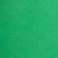 BLOCKX Oil Tube 35ml S5 565 Phthalo Green