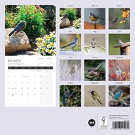 WS 2026 Calendar Garden Birds