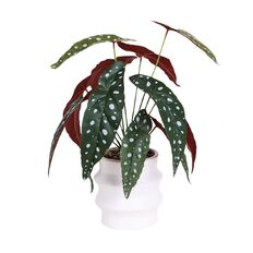 Living & Co Artificial Plant in Wavy Pot