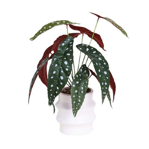 Living & Co Artificial Plant in Wavy Pot