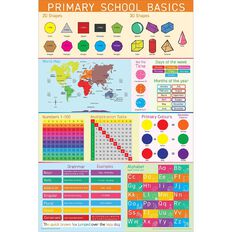 Poster Educational Basics
